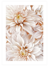 Quiet Moment - Art Print